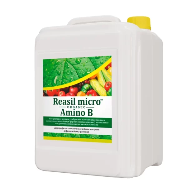 reasil-micro-amino-b1-litrov